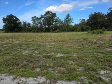 Imagine the possibilities with this vacant lot in the on River Greens Golf Course in Florida - for sale on GolfHomes.com, golf home, golf lot