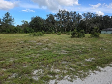 Imagine the possibilities with this vacant lot in the on River Greens Golf Course in Florida - for sale on GolfHomes.com, golf home, golf lot