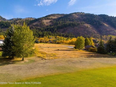 Two contiguous lots on the 10th fairway offer both beautiful on Cedar Creek Golf Course in Wyoming - for sale on GolfHomes.com, golf home, golf lot