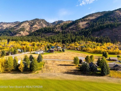 Two contiguous lots on the 10th fairway offer both beautiful on Cedar Creek Golf Course in Wyoming - for sale on GolfHomes.com, golf home, golf lot