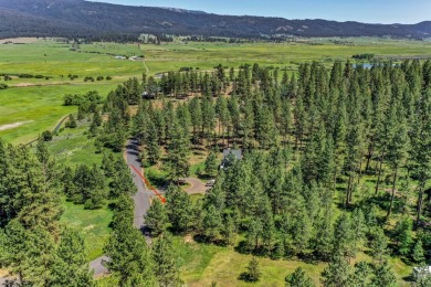 Motivated Sellers will consider all reasonable offers. House on Meadowcreek Golf Resort in Idaho - for sale on GolfHomes.com, golf home, golf lot