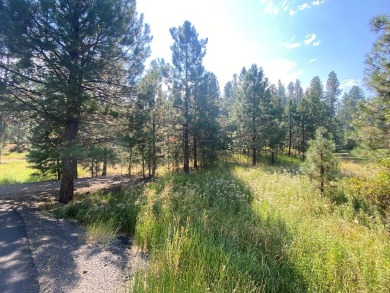 Motivated Sellers will consider all reasonable offers. House on Meadowcreek Golf Resort in Idaho - for sale on GolfHomes.com, golf home, golf lot