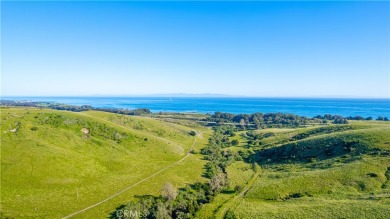 Nestled along the captivating Gaviota Coast of Santa Barbara on Sandpiper Golf Course in California - for sale on GolfHomes.com, golf home, golf lot