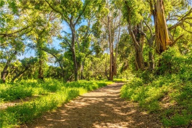 Nestled along the captivating Gaviota Coast of Santa Barbara on Sandpiper Golf Course in California - for sale on GolfHomes.com, golf home, golf lot