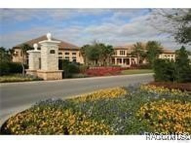Discover your dream home at 1366 N Bellamy Point, in Terra Vista on Skyview At Terra Vista Golf and Country Club in Florida - for sale on GolfHomes.com, golf home, golf lot