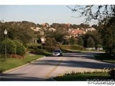 Discover your dream home at 1366 N Bellamy Point, in Terra Vista on Skyview At Terra Vista Golf and Country Club in Florida - for sale on GolfHomes.com, golf home, golf lot