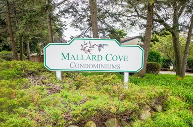 Must-See! Immaculate, Move-In Ready Ground-Floor Condo in on Arlington Lakes Golf Club in Illinois - for sale on GolfHomes.com, golf home, golf lot