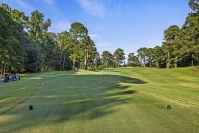 The home you've been searching for awaits at 621 Plantation Dr on Santee National Golf Course in South Carolina - for sale on GolfHomes.com, golf home, golf lot