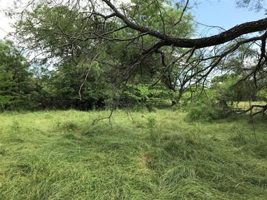 Build Your Dream in the Premier POA Community of White Bluff on White Bluff Resort - Old Course in Texas - for sale on GolfHomes.com, golf home, golf lot