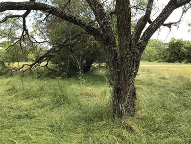 Build Your Dream in the Premier POA Community of White Bluff on White Bluff Resort - Old Course in Texas - for sale on GolfHomes.com, golf home, golf lot