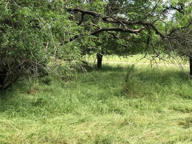 Build Your Dream in the Premier POA Community of White Bluff on White Bluff Resort - Old Course in Texas - for sale on GolfHomes.com, golf home, golf lot