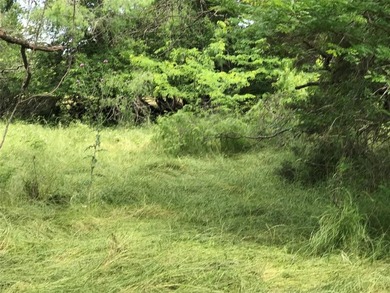 Build Your Dream in the Premier POA Community of White Bluff on White Bluff Resort - Old Course in Texas - for sale on GolfHomes.com, golf home, golf lot