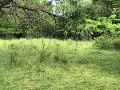 Build Your Dream in the Premier POA Community of White Bluff on White Bluff Resort - Old Course in Texas - for sale on GolfHomes.com, golf home, golf lot