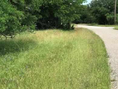 Build Your Dream in the Premier POA Community of White Bluff on White Bluff Resort - Old Course in Texas - for sale on GolfHomes.com, golf home, golf lot