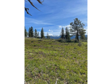 Build Your Dream Mountain Home! Discover the perfect canvas for on Meadowcreek Golf Resort in Idaho - for sale on GolfHomes.com, golf home, golf lot