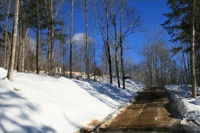 Opportunity to own lot directly on the Sunday River Country on Sunday River Golf Club in Maine - for sale on GolfHomes.com, golf home, golf lot