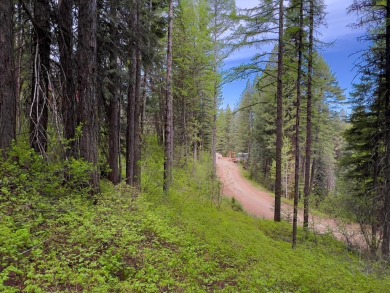 LESS THAN 0.5 MILES to Lake Cascade! Head out from nearby Blue on Cascade Golf Course in Idaho - for sale on GolfHomes.com, golf home, golf lot