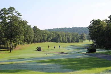 Beautiful 0.33-acre building lot located right on Balboa Golf on Balboa Golf Course in Arkansas - for sale on GolfHomes.com, golf home, golf lot