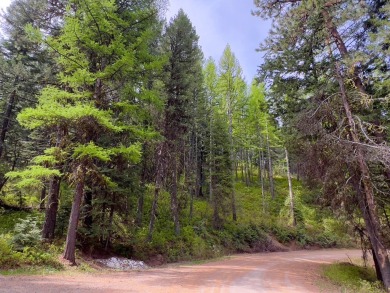 LESS THAN 0.5 MILES to Lake Cascade! Head out from nearby Blue on Cascade Golf Course in Idaho - for sale on GolfHomes.com, golf home, golf lot