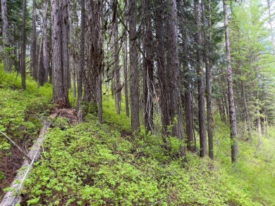 LESS THAN 0.5 MILES to Lake Cascade! Head out from nearby Blue on Cascade Golf Course in Idaho - for sale on GolfHomes.com, golf home, golf lot