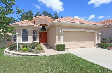 FULLY DETACHED *Carefree* HOME in INCREDIBLE TERRA VISTA with on Skyview At Terra Vista Golf and Country Club in Florida - for sale on GolfHomes.com, golf home, golf lot