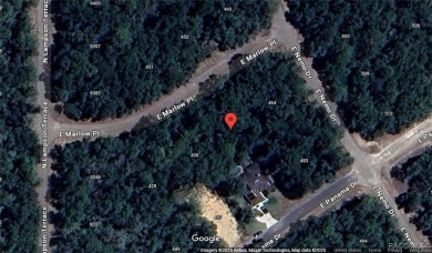 This piece of sunny Florida is literally minutes from US 41/N on Citrus Springs Country Club in Florida - for sale on GolfHomes.com, golf home, golf lot