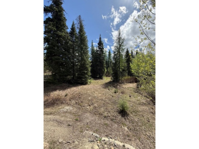GREAT PRICE- SKI IN/SKI OUT OPPORTUNITY! Discover the perfect on Osprey Meadows at Tamarack Resort in Idaho - for sale on GolfHomes.com, golf home, golf lot