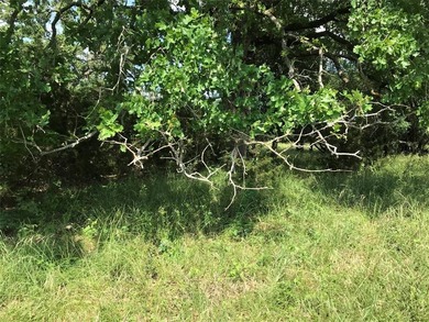 Exceptional opportunity to own a nearly 1-acre lot ideally on White Bluff Resort - Old Course in Texas - for sale on GolfHomes.com, golf home, golf lot