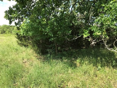 Exceptional opportunity to own a nearly 1-acre lot ideally on White Bluff Resort - Old Course in Texas - for sale on GolfHomes.com, golf home, golf lot