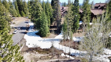 GREAT PRICE- SKI IN/SKI OUT OPPORTUNITY! Discover the perfect on Osprey Meadows at Tamarack Resort in Idaho - for sale on GolfHomes.com, golf home, golf lot