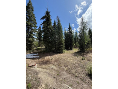 GREAT PRICE- SKI IN/SKI OUT OPPORTUNITY! Discover the perfect on Osprey Meadows at Tamarack Resort in Idaho - for sale on GolfHomes.com, golf home, golf lot