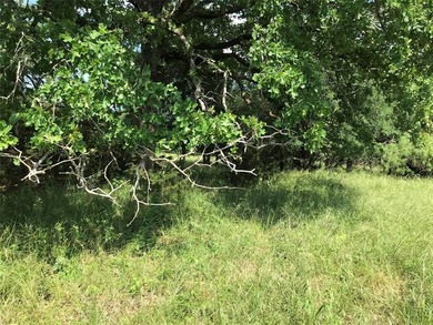 Exceptional opportunity to own a nearly 1-acre lot ideally on White Bluff Resort - Old Course in Texas - for sale on GolfHomes.com, golf home, golf lot