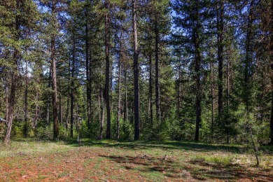 Build your mountain getaway or dream primary residence on this on Meadowcreek Golf Resort in Idaho - for sale on GolfHomes.com, golf home, golf lot