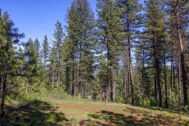 Build your mountain getaway or dream primary residence on this on Meadowcreek Golf Resort in Idaho - for sale on GolfHomes.com, golf home, golf lot