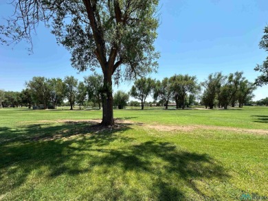 NEW CARPET INSTALLED IN SEPTEMBER!!  This well-maintained home on Chaparral Country Club in New Mexico - for sale on GolfHomes.com, golf home, golf lot