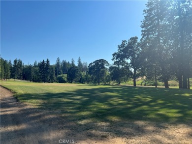 IDYLLIC GOLF COURSE FRONTAGE LOT with green views all year round on Adam Springs Golf Course in California - for sale on GolfHomes.com, golf home, golf lot