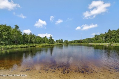 Discover the perfect blend of comfort and charm in this on Lake Naomi Timber Trails Golf Club in Pennsylvania - for sale on GolfHomes.com, golf home, golf lot