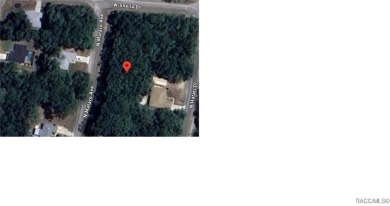Nice level buildable lot across from a newer built home in the on Citrus Springs Country Club in Florida - for sale on GolfHomes.com, golf home, golf lot
