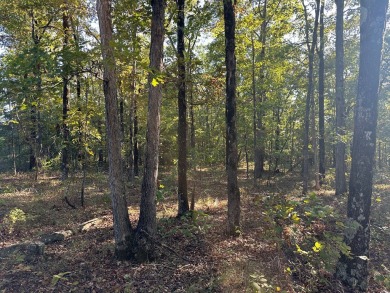 This beautiful 40 acres nestled in the hills of Cleburne County on Tannenbaum Golf Club in Arkansas - for sale on GolfHomes.com, golf home, golf lot