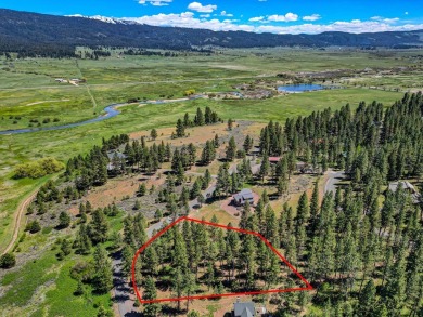 Gorgeous Valley and Mountain views with mature pine trees on Meadowcreek Golf Resort in Idaho - for sale on GolfHomes.com, golf home, golf lot