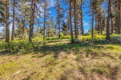 Gorgeous Valley and Mountain views with mature pine trees on Meadowcreek Golf Resort in Idaho - for sale on GolfHomes.com, golf home, golf lot