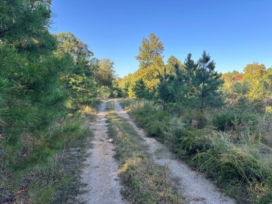 This beautiful 40 acres nestled in the hills of Cleburne County on Tannenbaum Golf Club in Arkansas - for sale on GolfHomes.com, golf home, golf lot