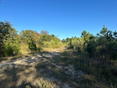 This beautiful 40 acres nestled in the hills of Cleburne County on Tannenbaum Golf Club in Arkansas - for sale on GolfHomes.com, golf home, golf lot