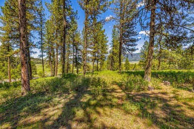Gorgeous Valley and Mountain views with mature pine trees on Meadowcreek Golf Resort in Idaho - for sale on GolfHomes.com, golf home, golf lot