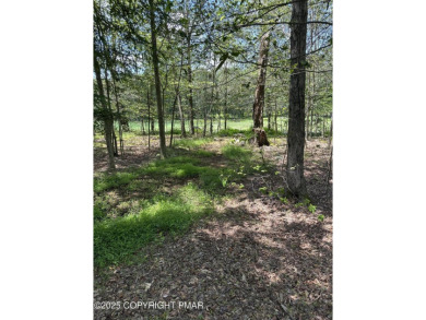 A must-see spacious home nestled in the gated Timber Trails on Lake Naomi Timber Trails Golf Club in Pennsylvania - for sale on GolfHomes.com, golf home, golf lot