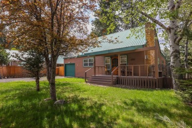 Charming In-Town McCall Retreat with Rustic Flair! Step into the on McCall Municipal Golf Course in Idaho - for sale on GolfHomes.com, golf home, golf lot