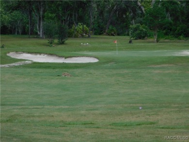 Discover the charm of living in the beautiful Sugar Mill Woods on Sugarmill Woods Golf and Country Club in Florida - for sale on GolfHomes.com, golf home, golf lot