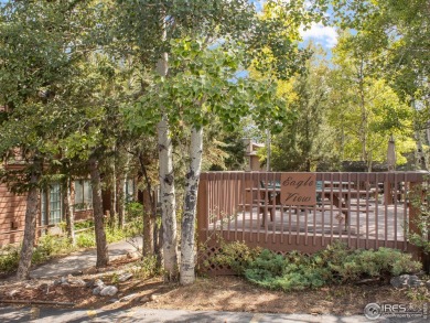 Here is your chance to own in Estes Park, Colorado! This Eagle on Estes Park Golf Course in Colorado - for sale on GolfHomes.com, golf home, golf lot