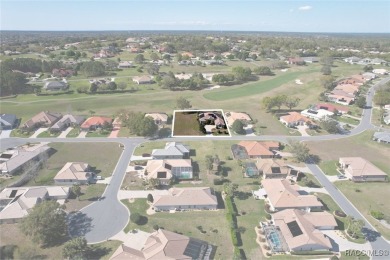 A dedicated four-bedroom pool home with an unbelievable golf on Skyview At Terra Vista Golf and Country Club in Florida - for sale on GolfHomes.com, golf home, golf lot