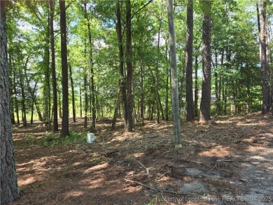 A Gorgeous Lot with an Absolutely Stunning View! Recently on Woodlake Country Club in North Carolina - for sale on GolfHomes.com, golf home, golf lot